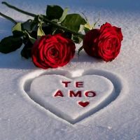 lavidaequivocadaxsiempre