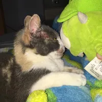 original sound - user444203126728