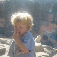 officialwilliammcgee