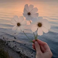 original sound - god.is.love296