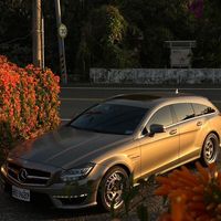aubaus0_p