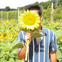 original sound - chitoo2024