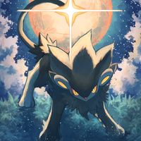 2stardreams