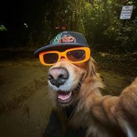 TikTok Account - luisitovlgfb