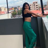 anul_040