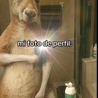 colocho7555