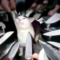 me_g7stan_las_naranjas