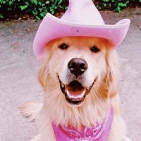 sweetandsimplethings