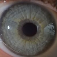 888_888xxx