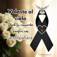 lachaparrita..6