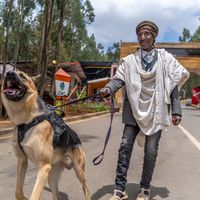 jano_the_shepherd