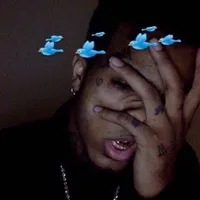 realist slideshow audio