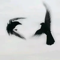 original sound - vicoxxcc