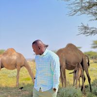 injinersharmarke49