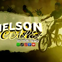 original sound - nelsoncalel585