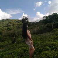 4627amor