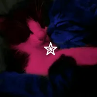 original sound - lyrics.lovecore