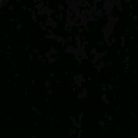 _pulguita_12