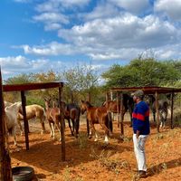 mapunduranch