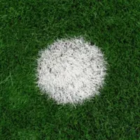 original sound - viralmextv