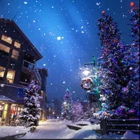 Underneath The Tree