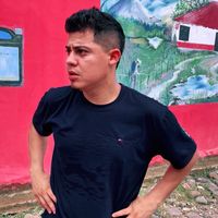 vladimirlinares76