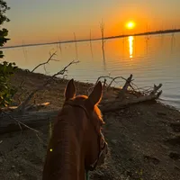 original sound - abigailstephens433