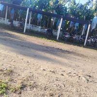 la.nena8526