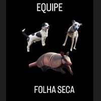 equipe_folha_seca7