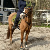 equestrian..janaa