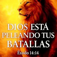 juansaravia245