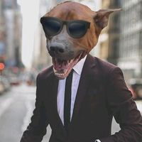 superdogmo