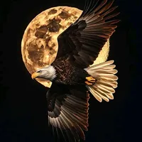 original sound - msenti4995