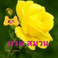 เสียงต้นฉบับ - user9439886861986