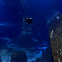 everlasting.paracosm