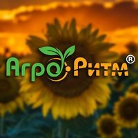agroritm