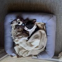 beautifuldisaster1__