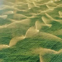 original sound - sprinkler7770