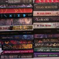 veilsbookcorner
