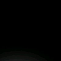 zxzz_lnz