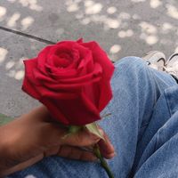 a.kurin_