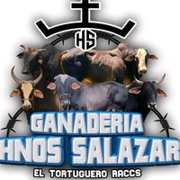 ganaderiasalazar28