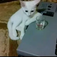 original sound - feelsposting