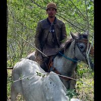 vandim_andrade_o_bruto