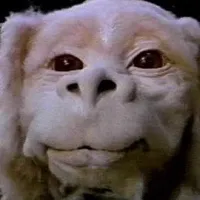 some things abt me cover by asherdouglas