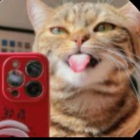 teoshet