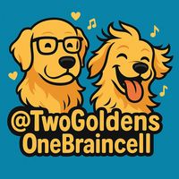 2goldens1braincell