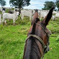 tiago.de.oliveira328