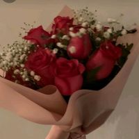 elenaarob