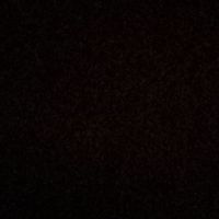 tim.negro.__w